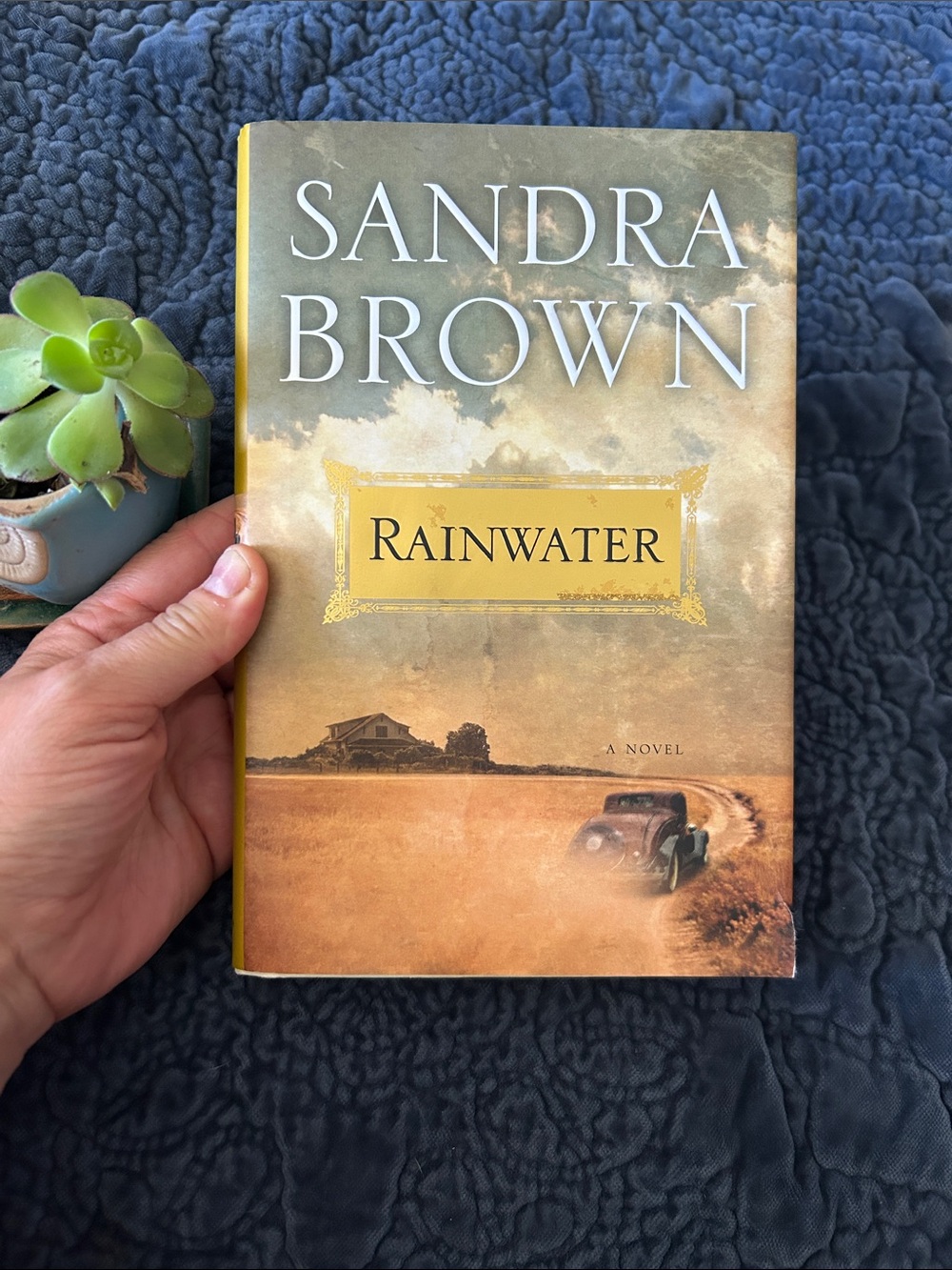Sandra Brown "Rainwater" Hardcover Novel - Yellow/Brown Cover